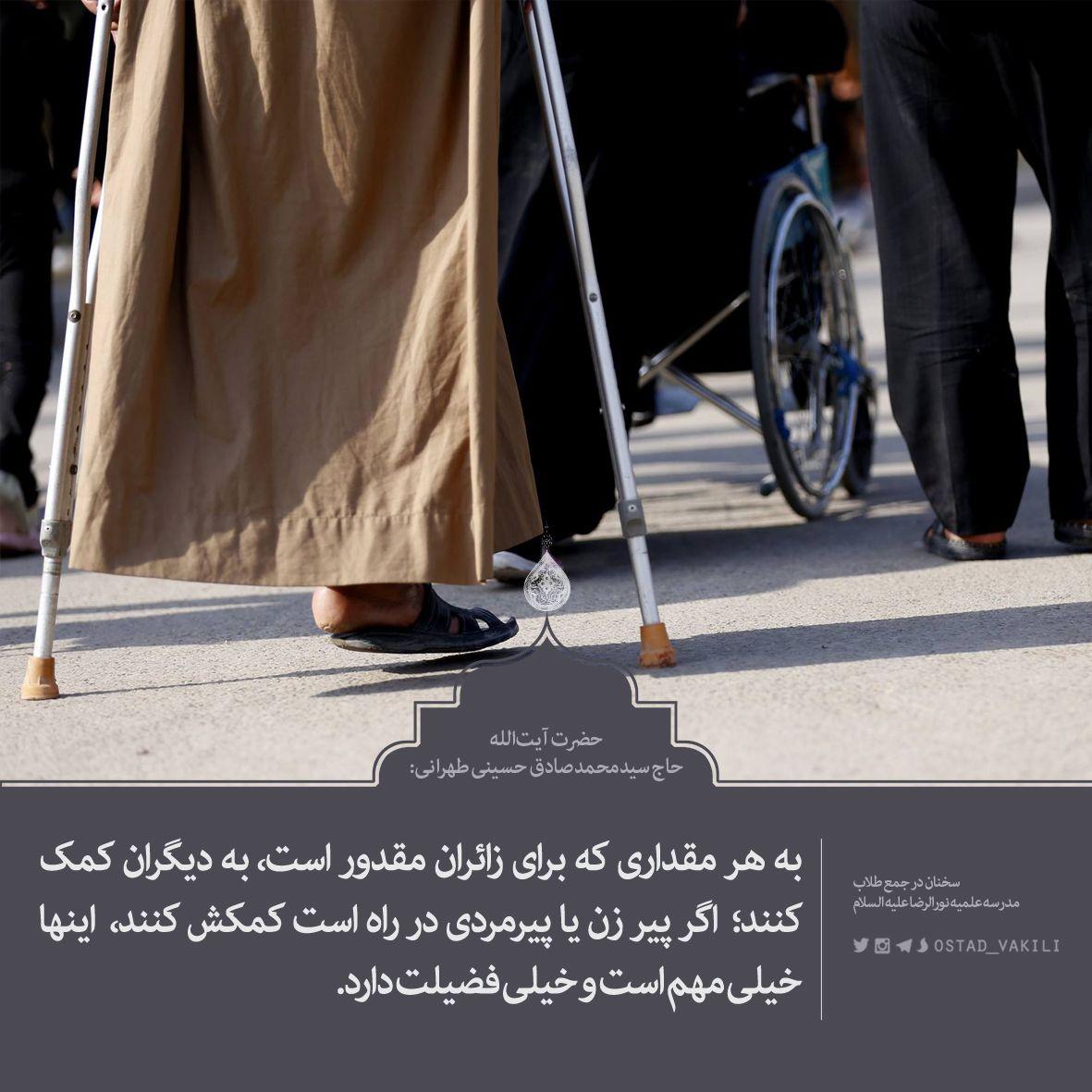 زائر امام حسین آیت الله سید محمد صادق حسینی طهرانی